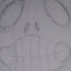 Meet your Posher, Kaila